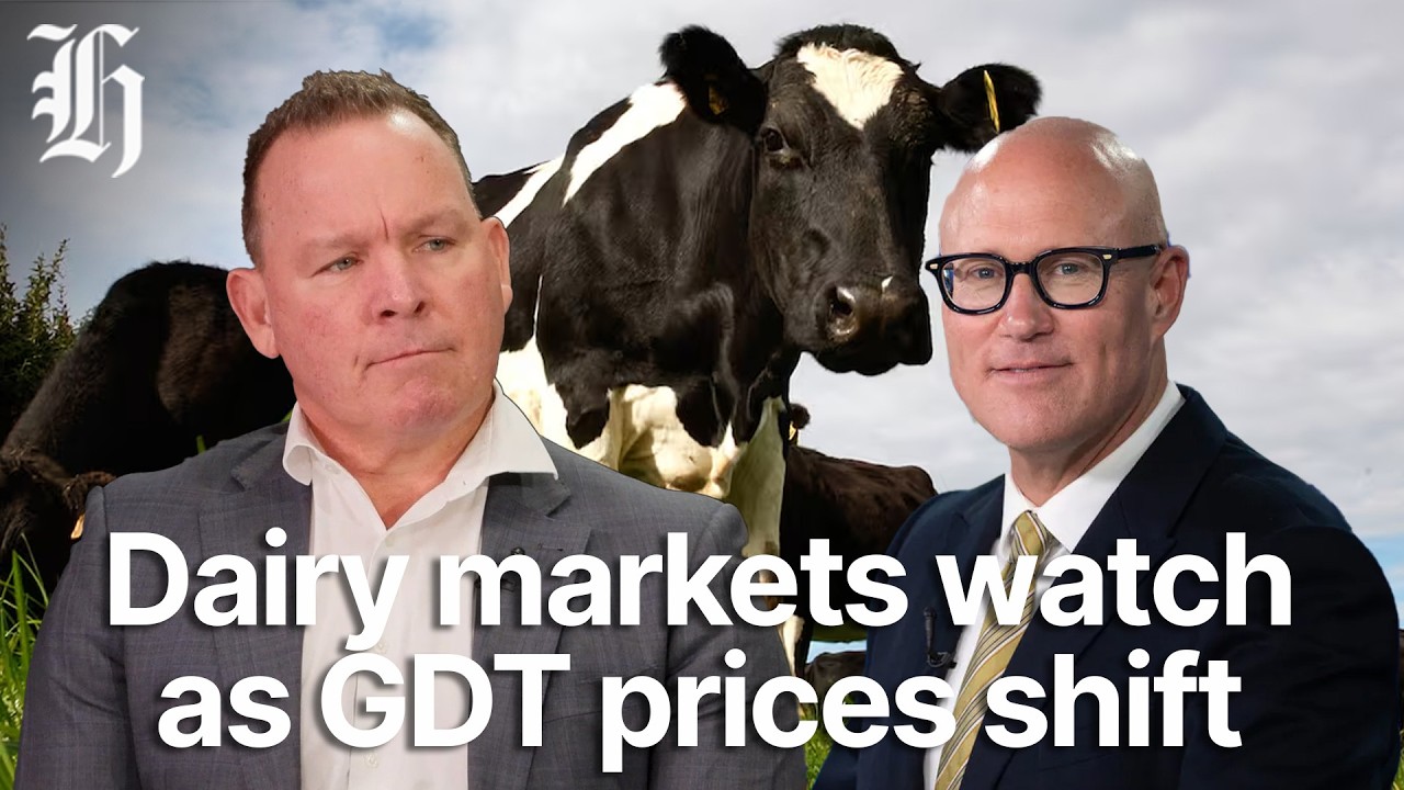 Молочные рынки в ожидании: цены на аукционе GDT меняются | Herald NOW Business