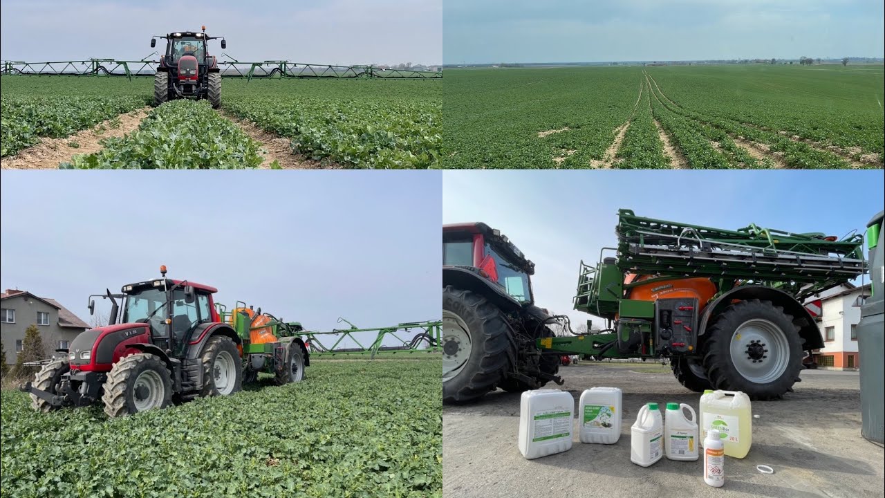 #573- Warto zadbać gdy rzepak po 5000zł/t! Pierwszy zabieg ochrony rzepaku! Susza na horyzoncie...