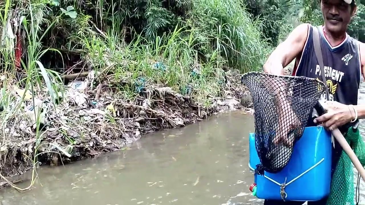 Wp#321Eletricfishing/mga mamaw na hito ang nahuli