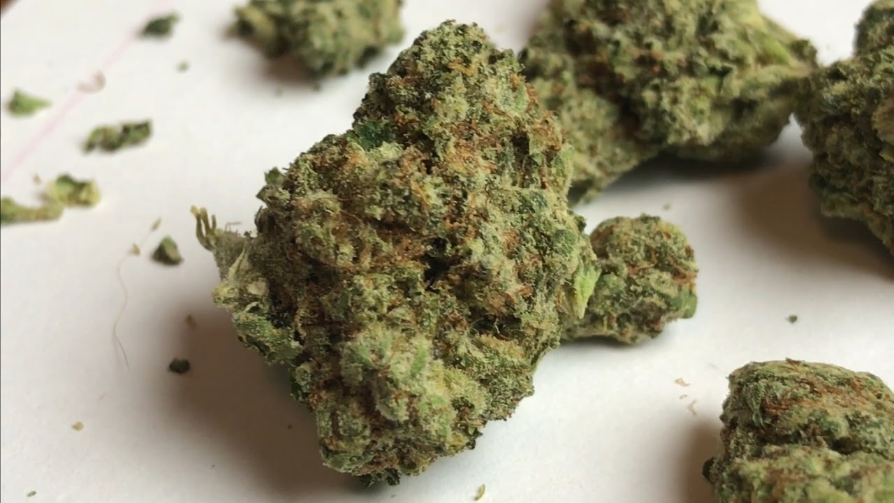 Berners Cut/Og/Gsc? Strain Review!!