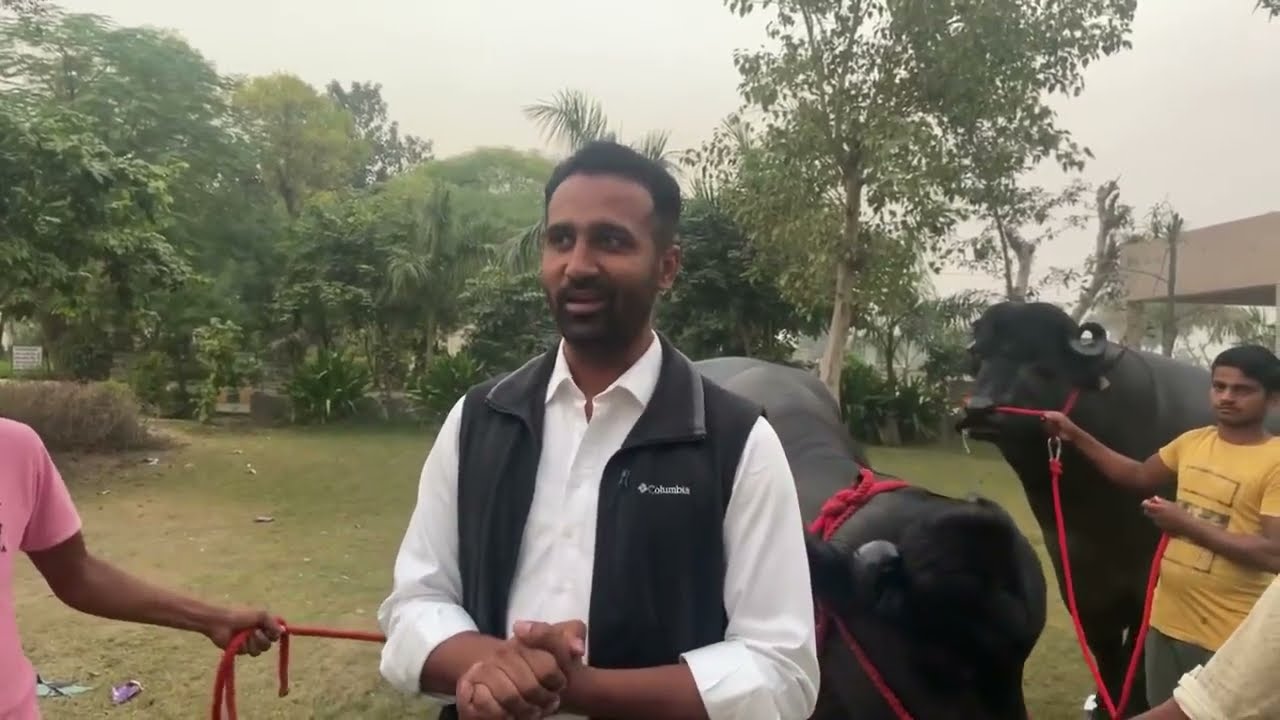 Live 🔴 Beautiful Farm 😍 Lakshmi Dairy Farm    Must Watch