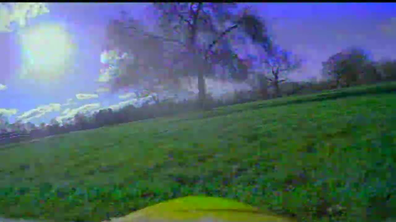 VAMPIRE - BEDDINGTON PARK (2) - DOF240226