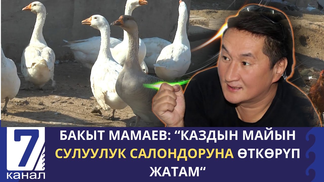 БАКЫТ МАМАЕВ: 