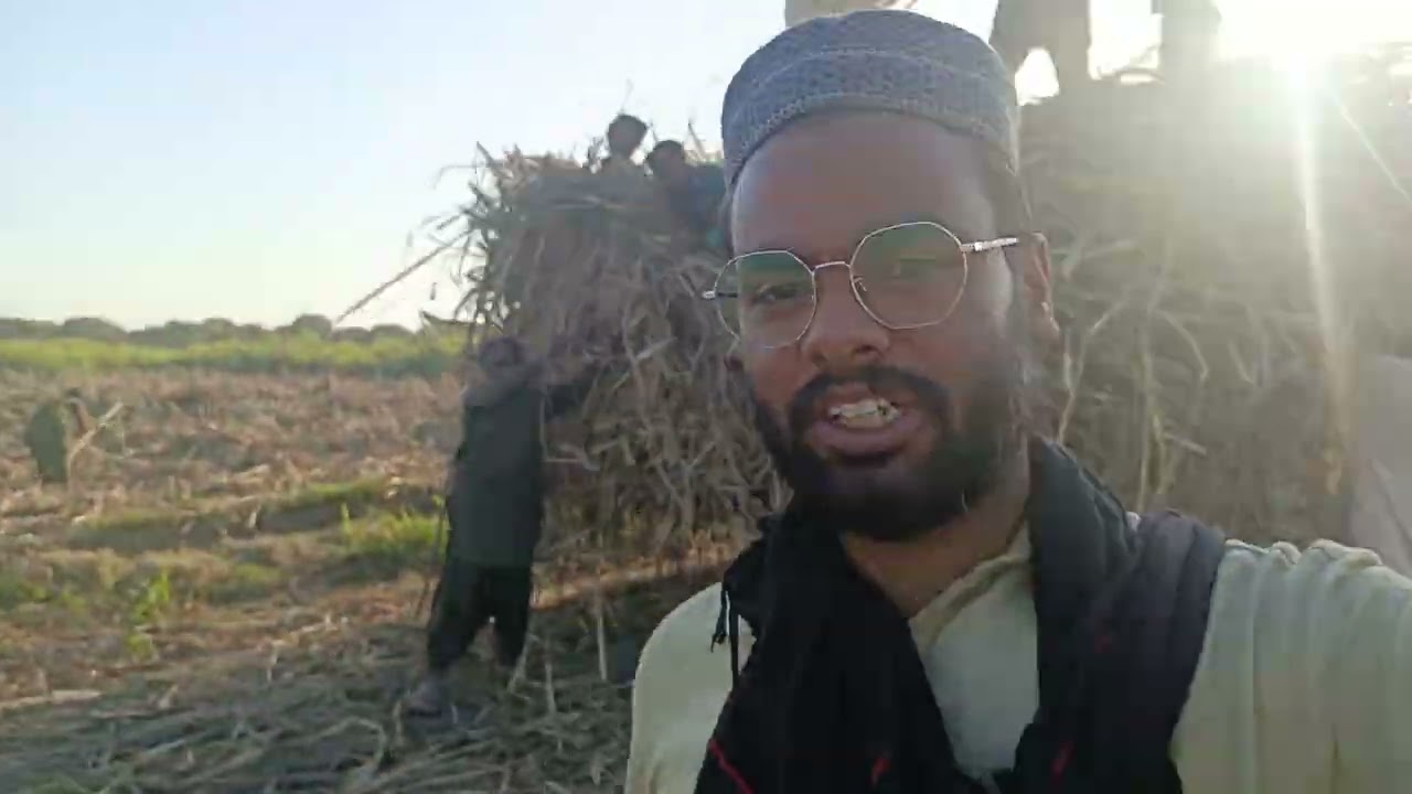 🚜🌾🔥🚜 Sugarcane Harvest & Market | مزدور محنت | Real Kisan Life Near City | Rehan Bhai 🌾