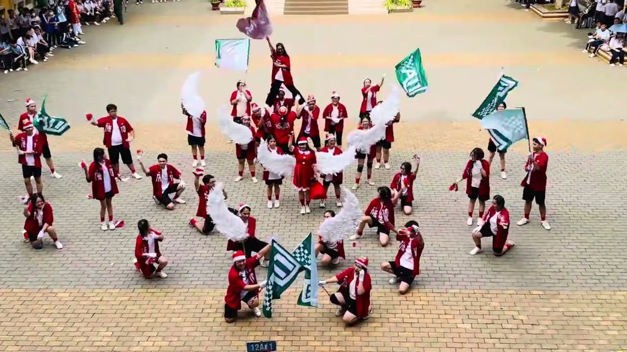 Lớp 12A11 || Flashmob 2023-2024 || THPT NTT