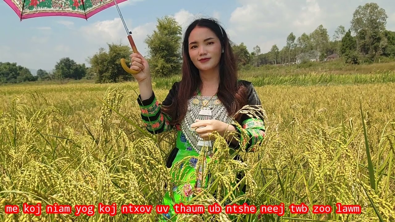 Me koj niam yog koj ntxov uv thaum ub neej twb zoo lawm 25/1/2026