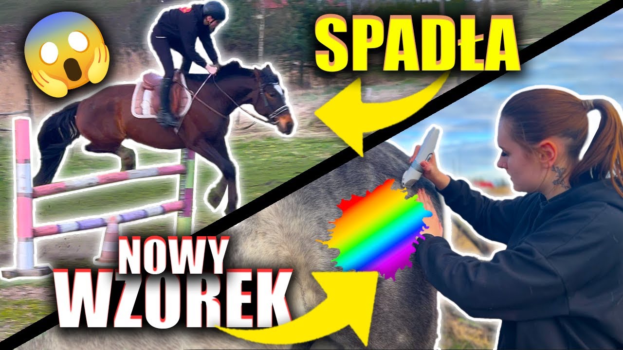UPADEK PODCZAS TRENINGU?! - wycinamy wzorek Siwemu