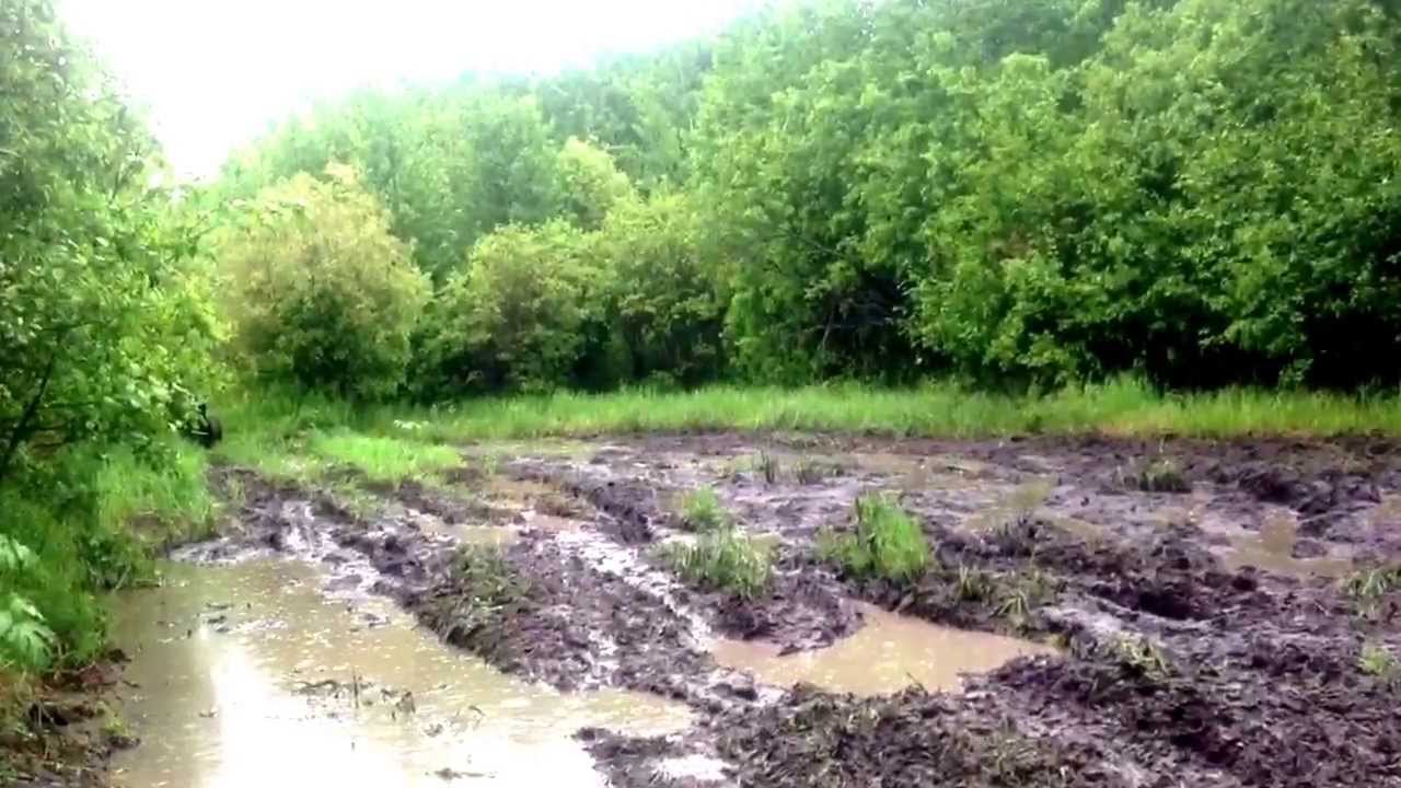Wildcat 1000 and rzr 900 mudding