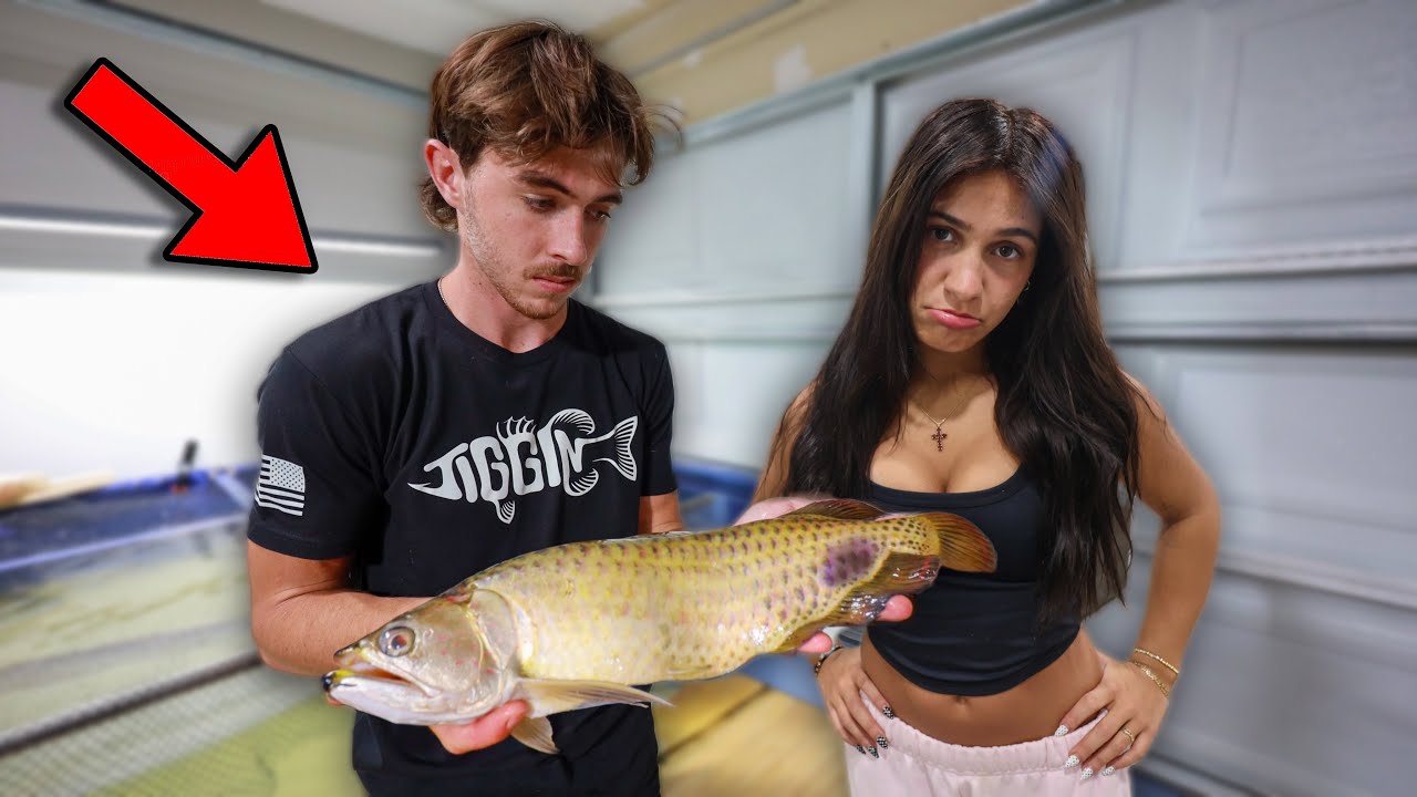 My $3,000 Fish Is Dead 