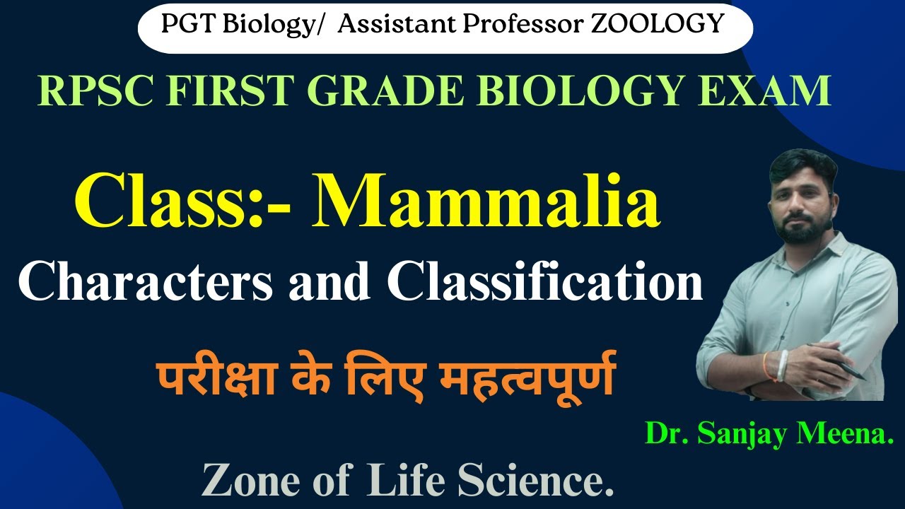 Class Mammalia.character and Classification#rpsc1stgrade #chordates #assistantprofessorexam #mammals