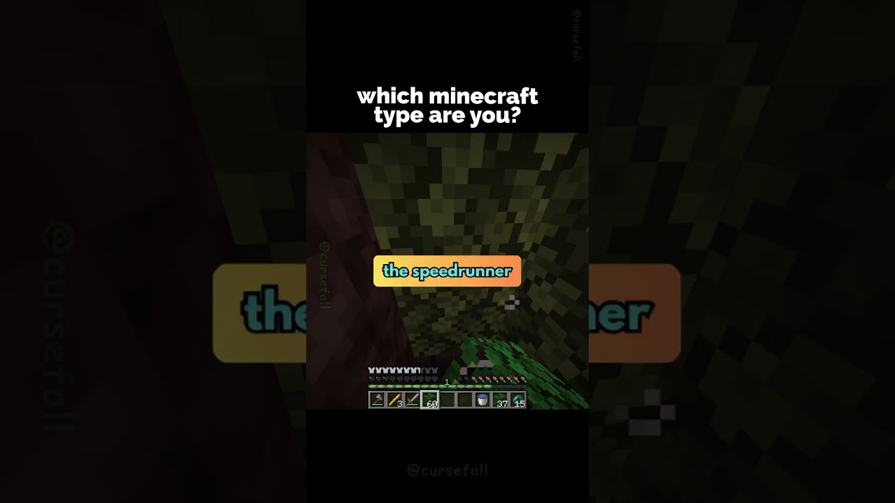 What Type Of Minecraft Player Are YOU? 😎
