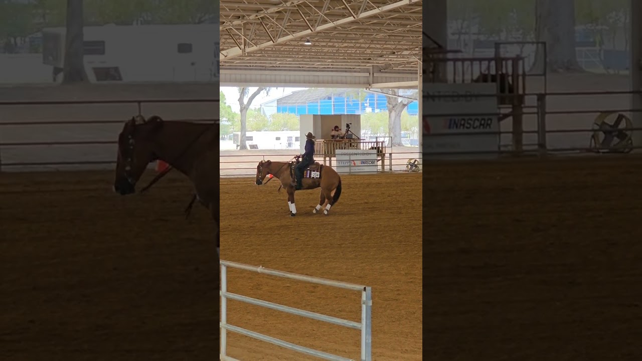 Horse 🐎 riding skills #equestrian#skills