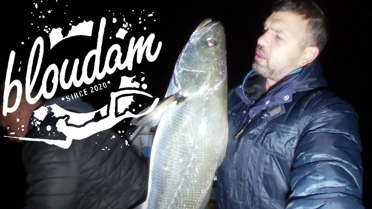 HOW TO KOB FISHING WITH LIVE BAIT