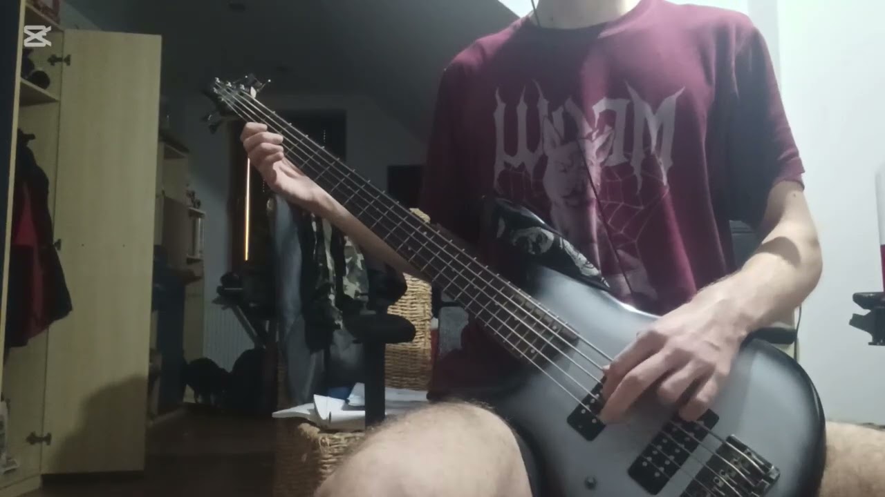 Deathspell Omega - Abscission (bass cover)
