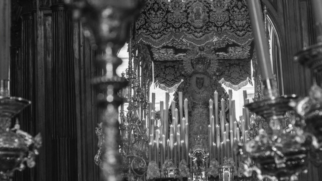 Lágrimas y Favores en la Catedral de Málaga, 2019