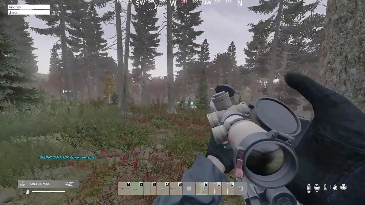 DayZ 2026 01 31   22 43 53 02