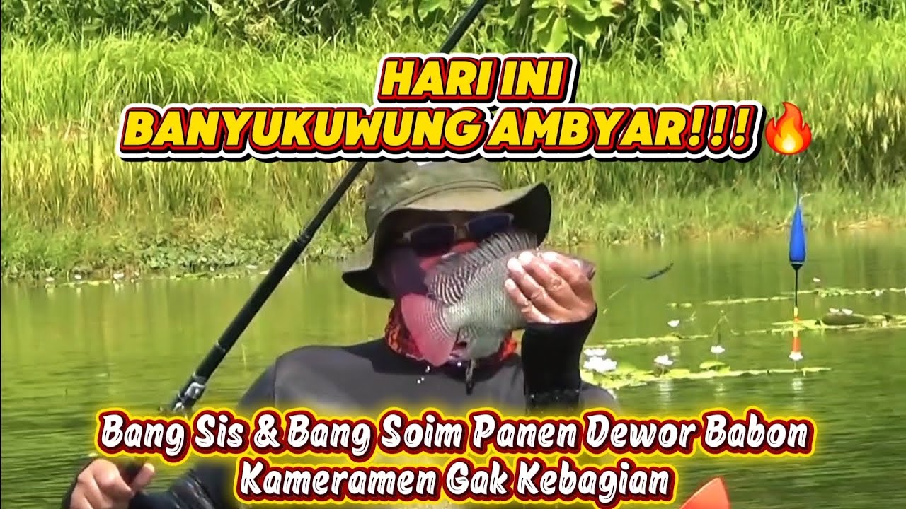 Waduk Banyukuwung Berguncang! Detik-detik Bang Sis & Soim Tarik Dewor! 😱🔥
