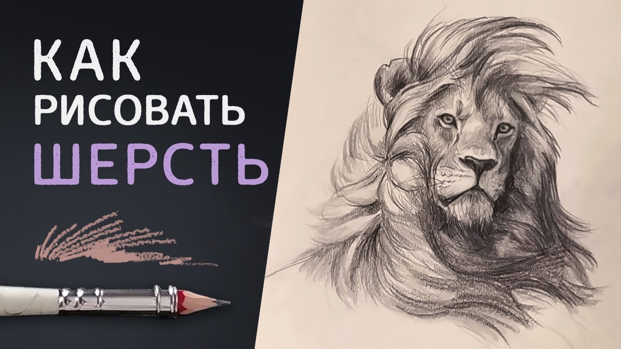 КАК РИСОВАТЬ ШЕРСТЬ животных карандашом // 3 способа