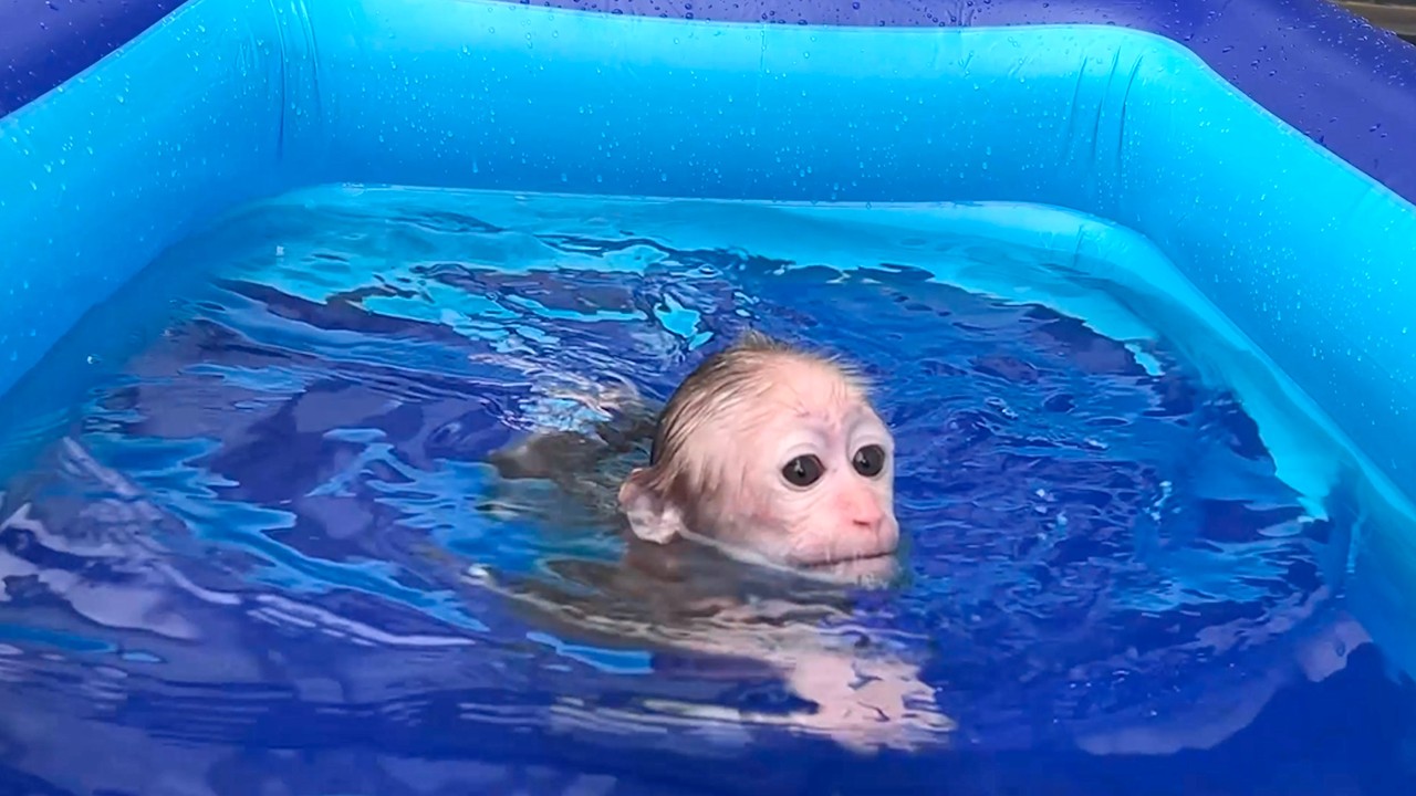 CUBIS’ Adorable Reaction During His First Swimming Lesson
