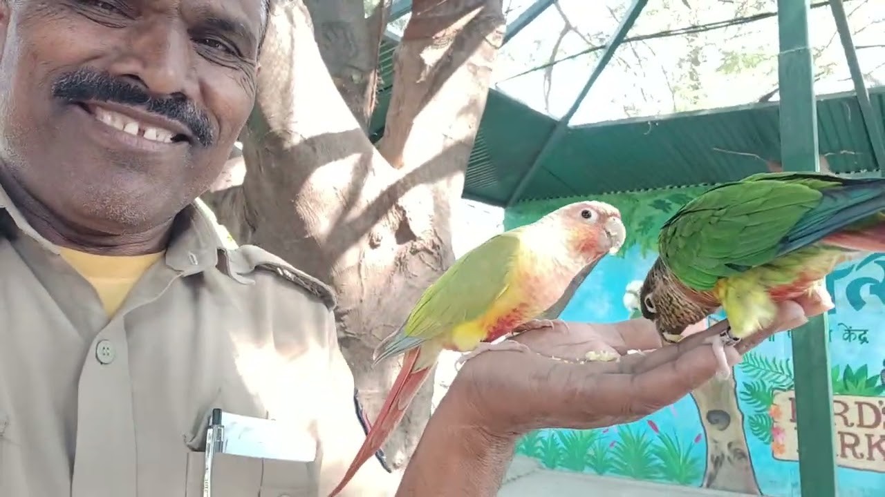 💯💖💖💖🎋🌴🥀🪻मैत्रीचा हात पक्षाचि साथ 
