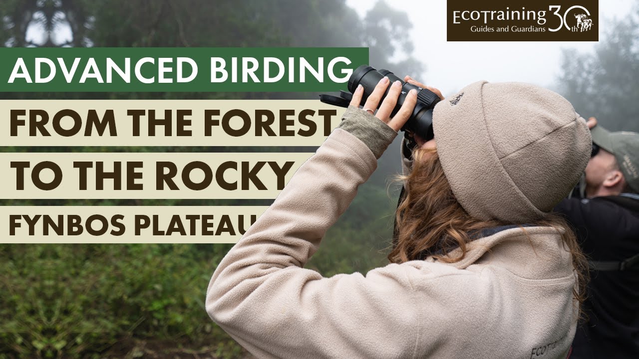 Advanced Birding at Mariepskop l EcoTraining Courses | EcoTraining