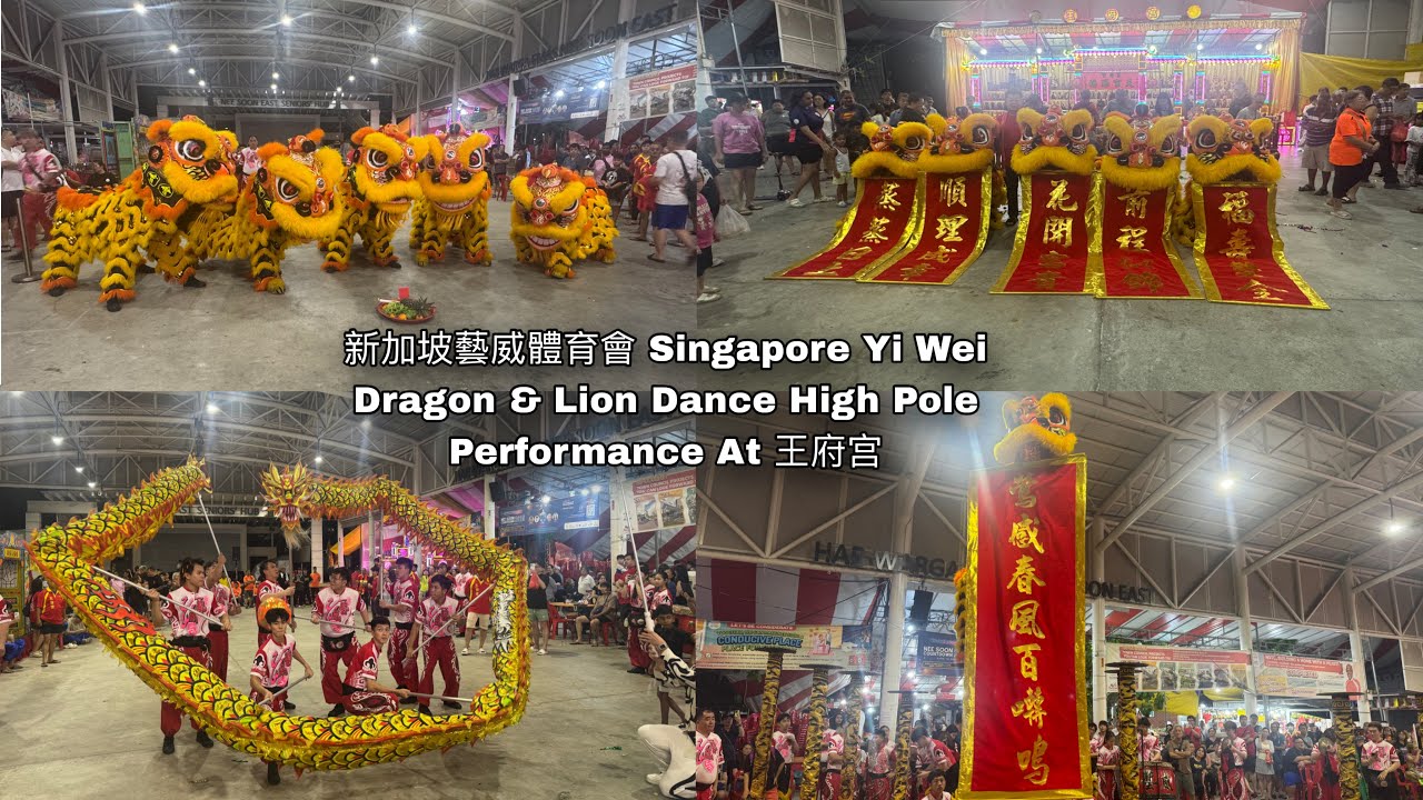 新加坡藝威體育會 Singapore Yi Wei Dragon & Lion Dance High Pole performance at 王府宫 2.01.26