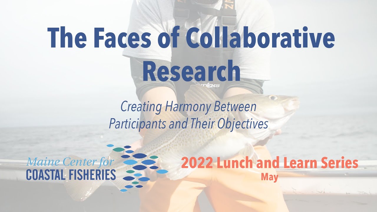Lunch & Learn: Faces of Collaborative Research