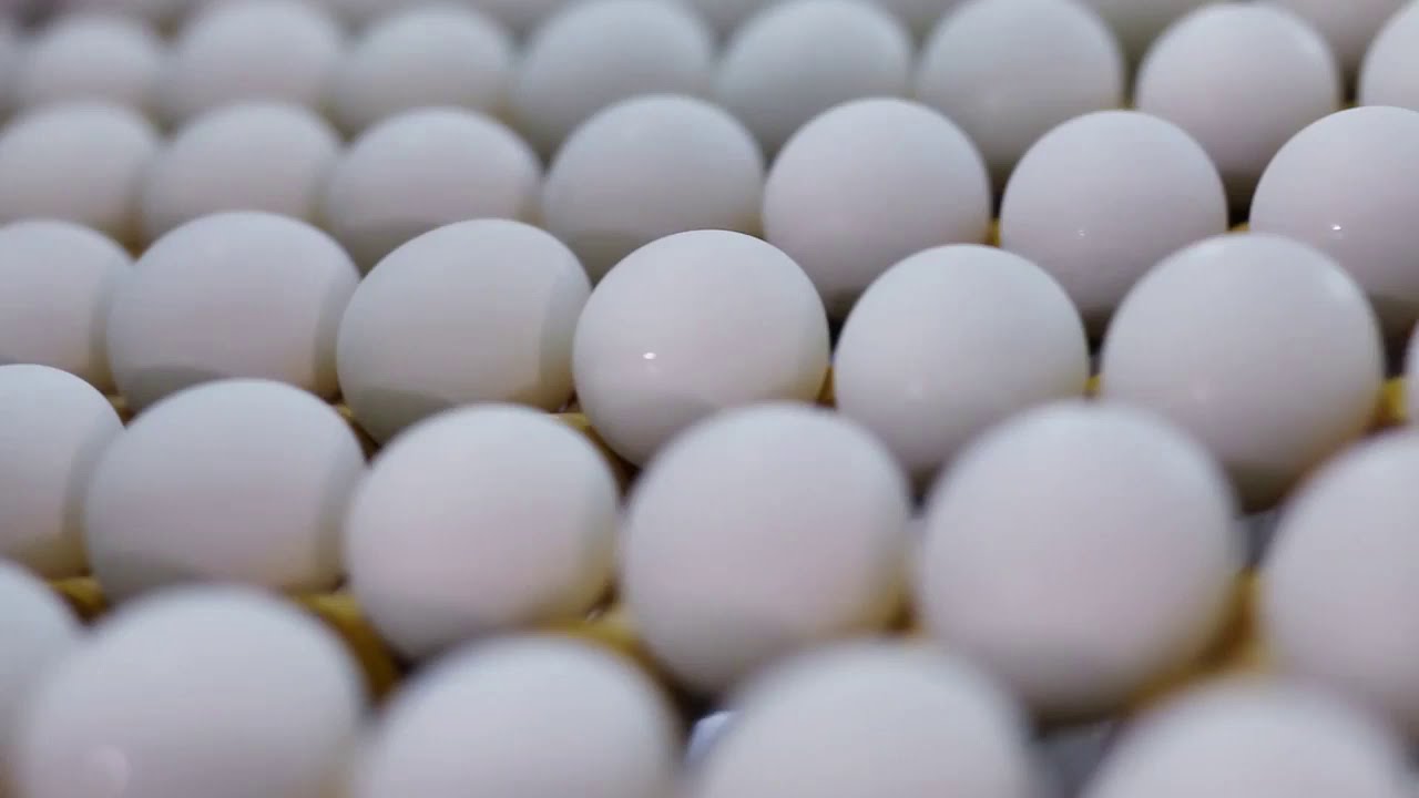 Hitachi Moba Coding of eggs
