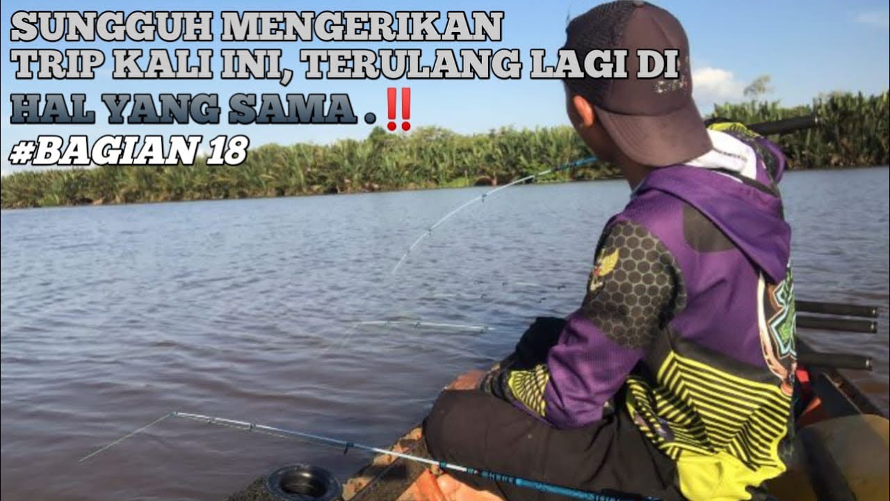 MANCING KALI INI SANGAT MENGERIKAN , BILA TIDAK BERHATI-HATI PASTI AKAN ‼️