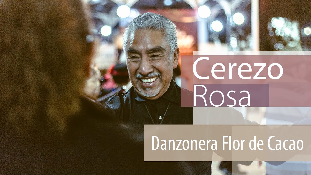 Cerezo Rosa (Danzón) - Danzonera Flor de Cacao