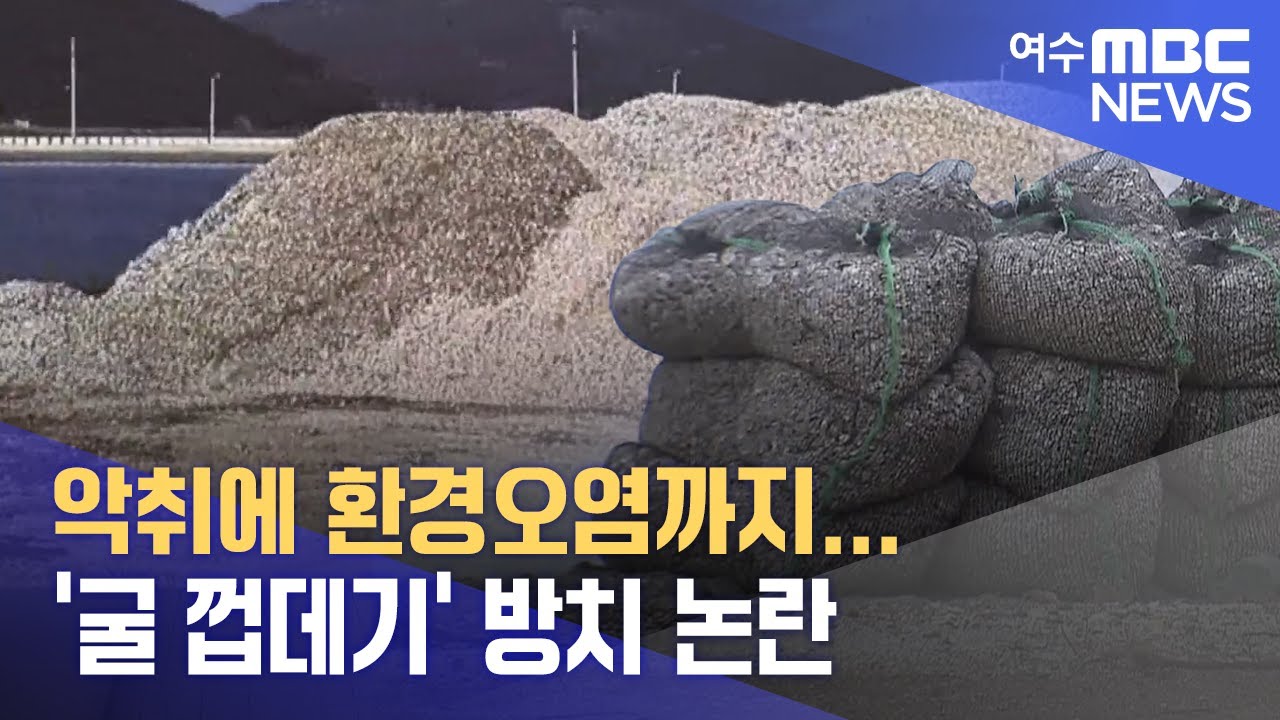 악취에 환경오염까지...'굴 껍데기' 방치 논란  -R(240205월/뉴스데스크)