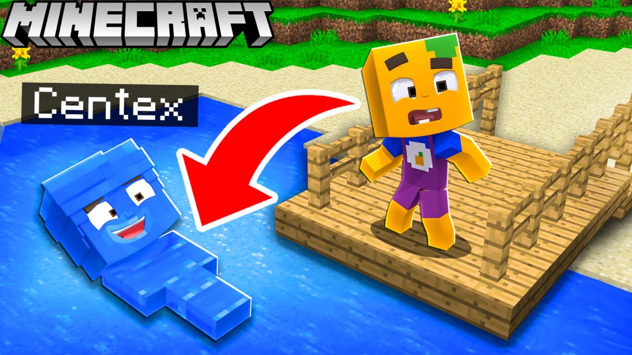 Ich BENUTZE CAMOFLAGE und TROLLE meinen FREUND in Minecraft!