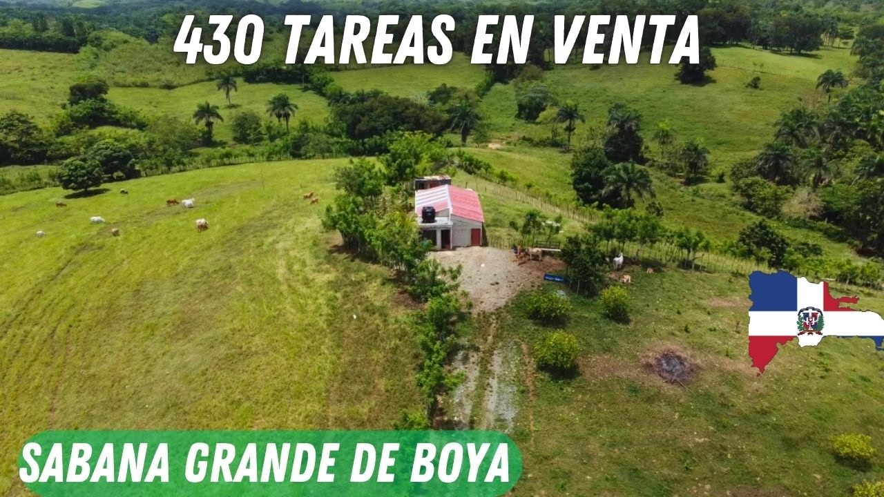 Finca ganadera en Sabana grande de boya - Monte Plata - Republica Dominicana