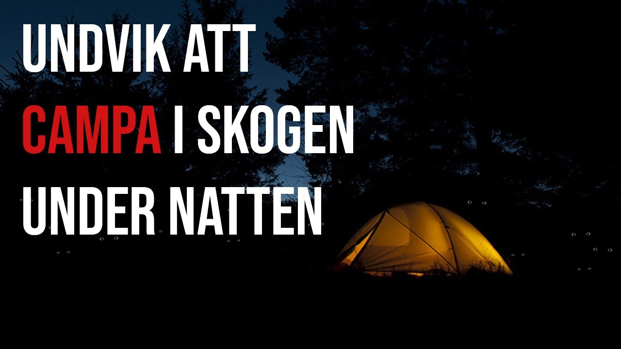 Undvik att campa i skogen under natten - [Creepypasta]