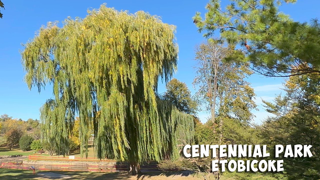Centennial Park #etobicoke