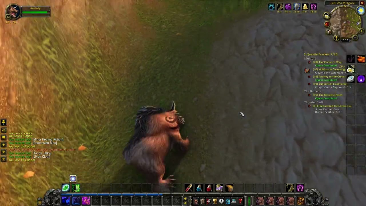 Tauren Druid Classic Era: