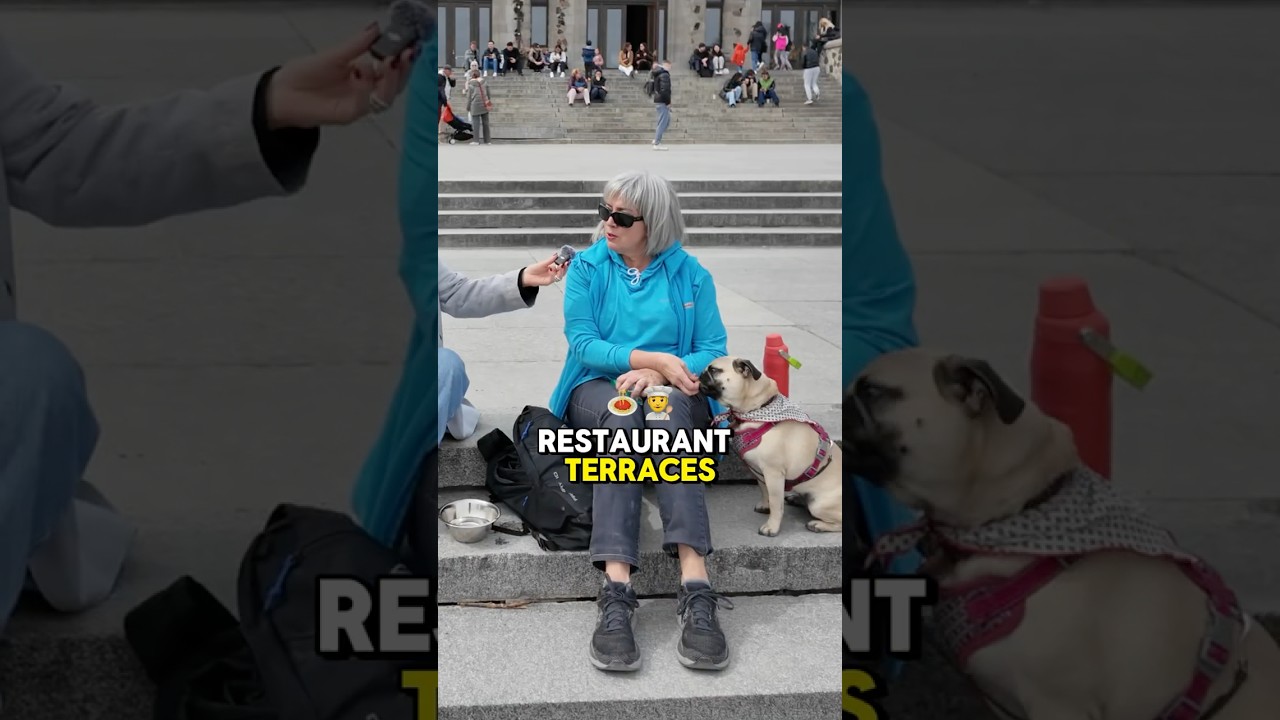 Name one place that should be dog-friendly! 