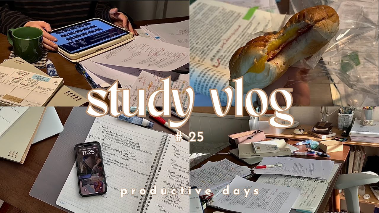 [ STUDY ACCOUNT ] study with me | study vlog | motivation ~ động lực học tập #25
