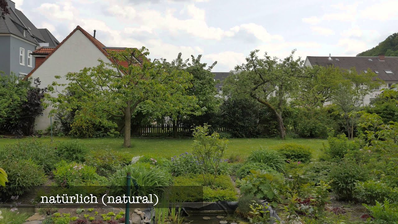 2015 Test GH 4 Bildstile   Picture Style