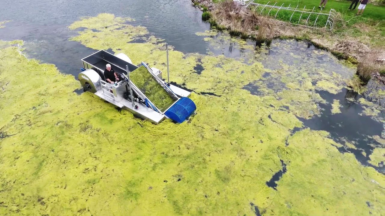 Eco-Harvester Harvesting Aquatic Weeds & Algae | Best Lake & Pond Control for Milfoil, Hydrilla etc