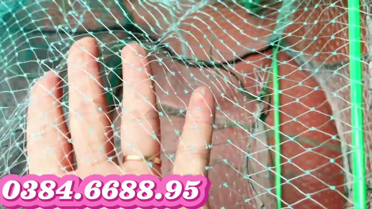 🆘🆘LỒNG LƯỚI ĐÚC ĐÁNH BIỂN DÂY TO KHUNG CHỊU LỰC- LỒNG CHÃ XANH 29khung đánh sông suối ☎️0384.6688.95