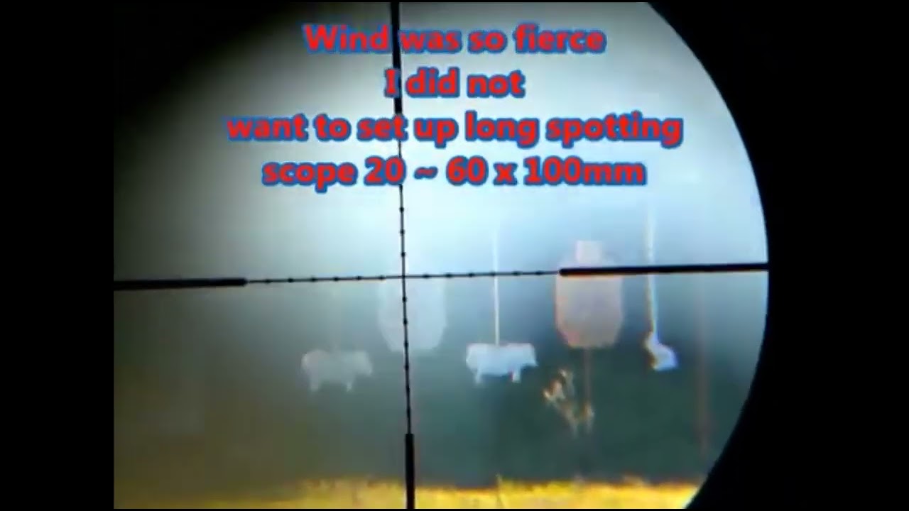 CZ 457 TO 500 YARDS ? NOPE , MARLIN 880  and CZ 452