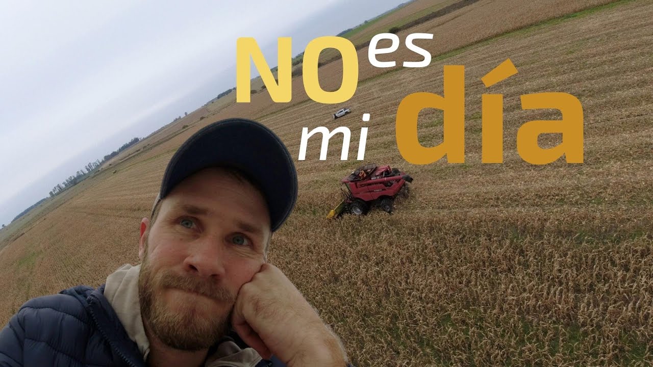 Maíz con la Case!