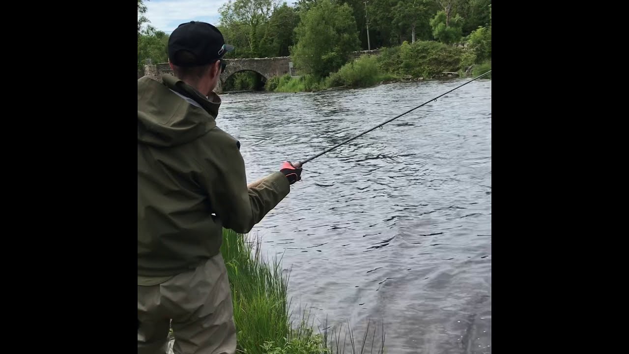 River Drowes Salmon