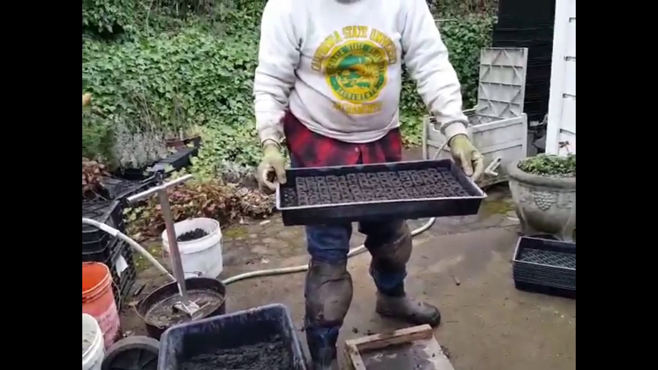 Making Soil Blocks Using the 35 Cell Standing Blocker