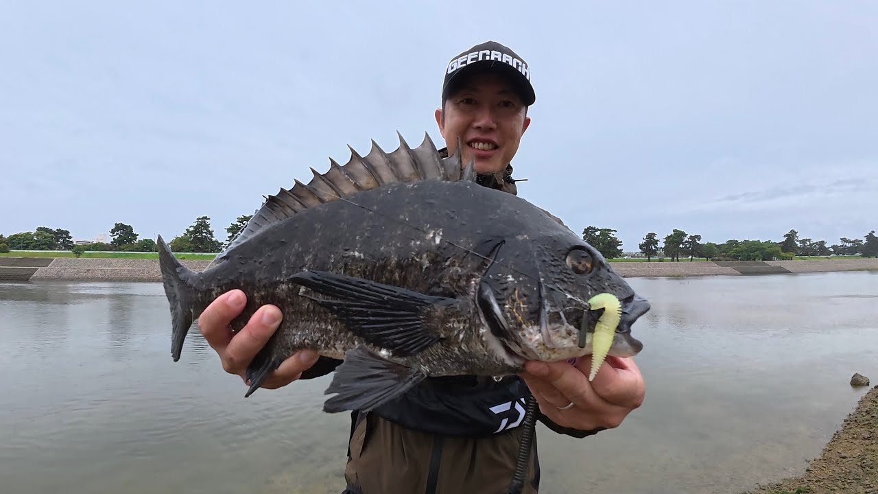 武庫川チニング朝練
