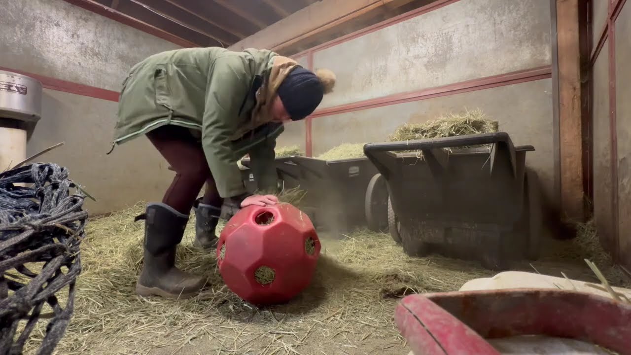 the year is 2026 & here is the first ever barn vlog from @todaywithgus