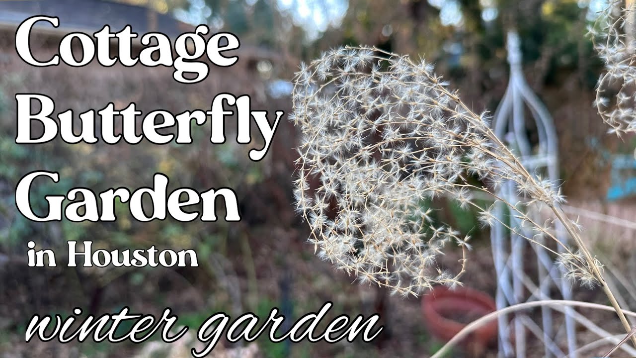 February 7, 2026 Cottage Butterfly Garden Tour in Houston TX zone 9b