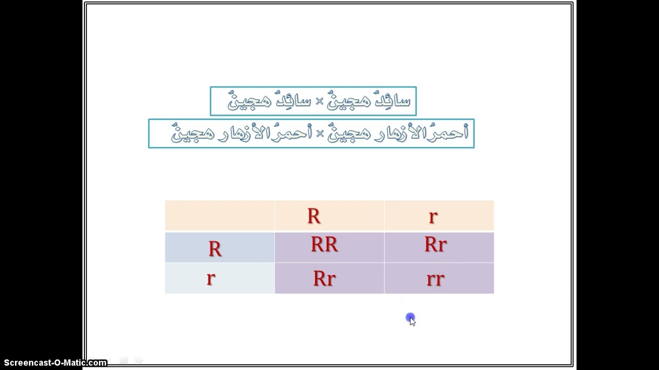 Mendelian 2