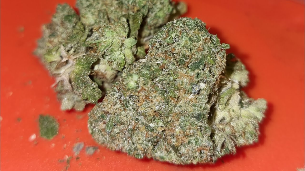 banana mac UK Council Estate 💥💥weed review and smoke up cannabis 420 rsosos